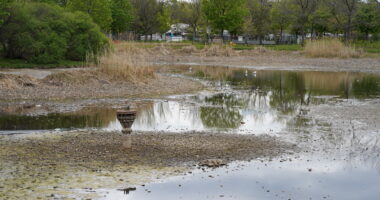 Plusieurs usagers ont hâte de voir jaillir le jet d'eau de l'emblématique fontaine du parc Ahuntsic.