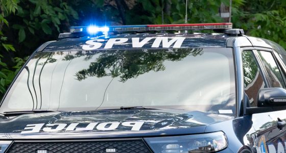 alcool drogue au volant