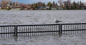 Crue rivière des Prairies conseil arrondissement