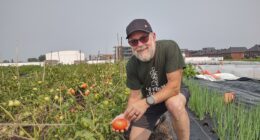 Réal Migneault Ferme de rue agriculture urbaine IGA Duchemin