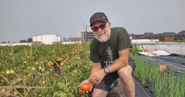 Réal Migneault Ferme de rue agriculture urbaine IGA Duchemin