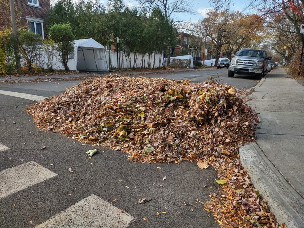 Tas de feuilles mortes