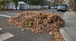 Tas de feuilles mortes