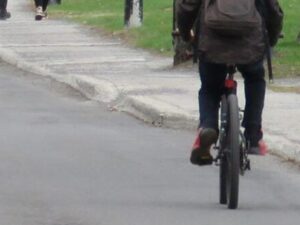 Vélo piste cyclable