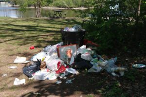 Plusieurs usagers des parcs et promenades ont eux aussi pris des photos de poubelles ici même dans Ahuntsic-Cartierville.