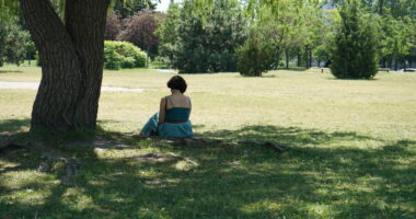 Une habituée du parc profitant de l'ombre de son « arbre préféré » dans le parc Marcelin-Wilson. (Photo JDV – François-Alexis Favreau)