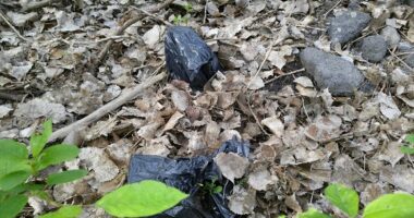 Étranges sacs noirs au Parc du Boisé Saint-Sulpice au sol bien encrés
